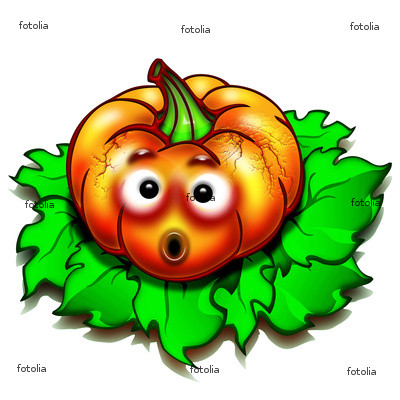 zucca stupita.jpg