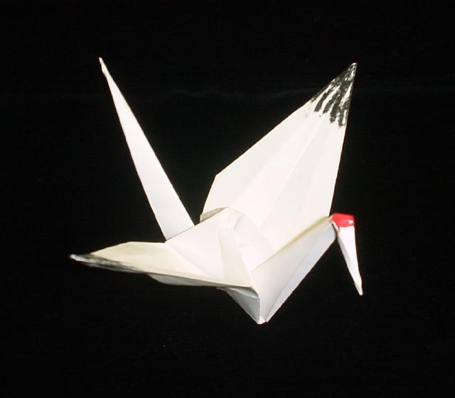 origami 8.jpg