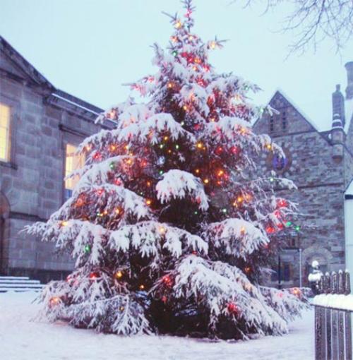 albero di Natale fuori locanda.jpg